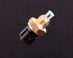 Intake temperature sensor (IAT) M12