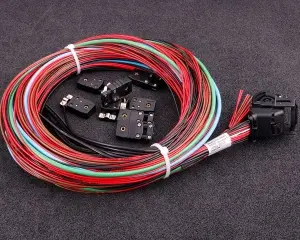 MaxxECU RACE harness 2 (EGT, E-Throttle, extra)