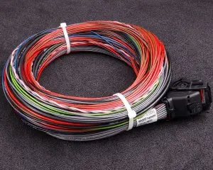 MaxxECU SPORT cable harness