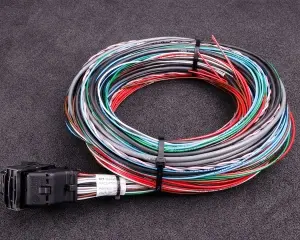 MaxxECU V1/RACE/PRO flying lead wiring harness connector 1